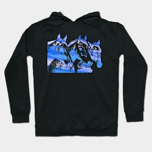 Horses Hoodie